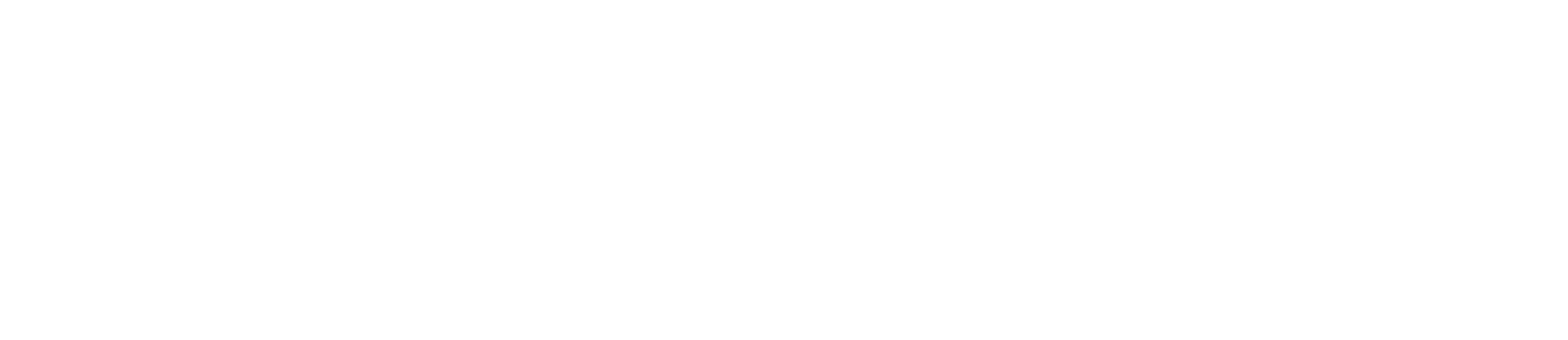 Revizyon Gayrimenkul